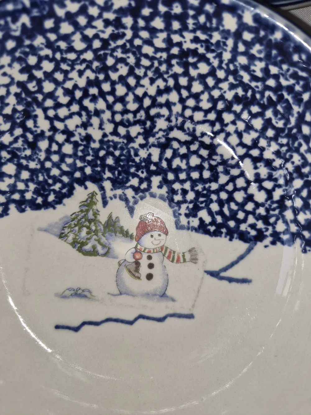 Thompson plates bowels